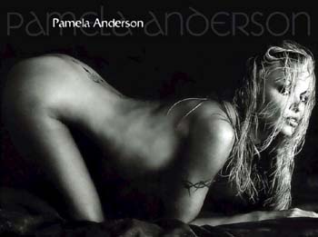 Pamela Anderson186